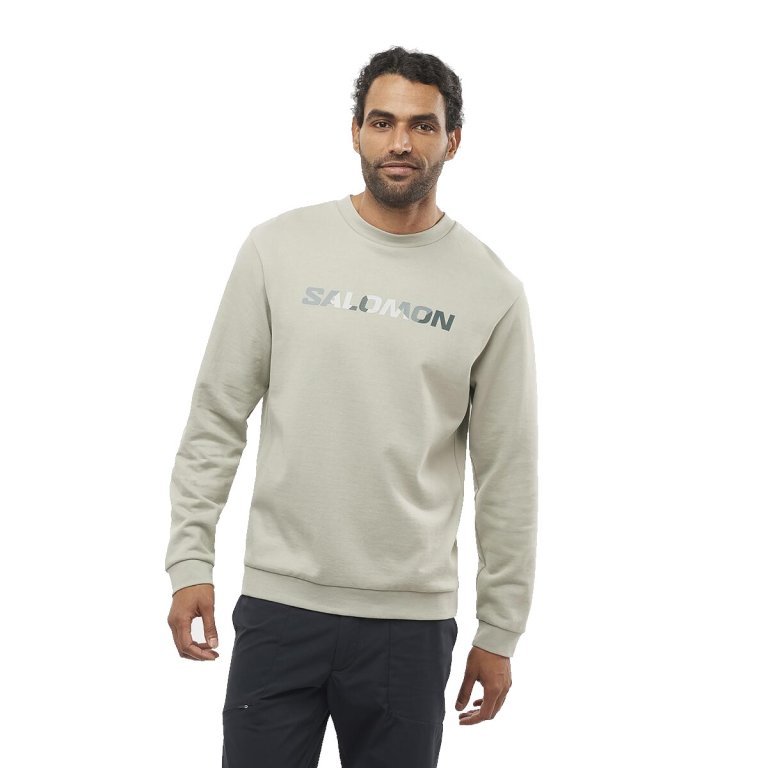 Кофта Salomon Outlife Logo Winter Crew Sweatshirt - бежева