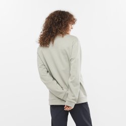 Кофта Salomon Outlife Logo Winter Crew Sweatshirt - бежева