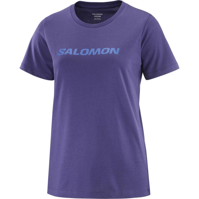 Футболка Salomon Outlife Big Logo W - фіолетова
